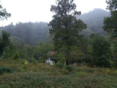 android_upload_pic-杭州上天竺法喜讲寺