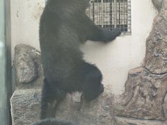 -青岛动物园