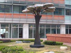 -香港大学