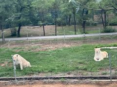 -秦皇岛野生动物园