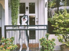 -TrueLove @ Neverland (Husky Cafe)