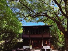 -中国茶叶博物馆(双峰馆区)