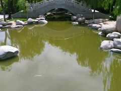 android_upload_pic-西安青龙寺遗址景区
