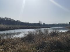 -洨河生态公园