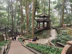 -都江堰普照寺