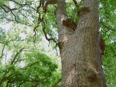 -外蒲山