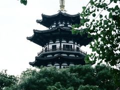 -洋湖国家湿地公园
