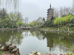 -红梅公园
