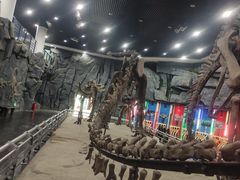 -吉林省自然博物馆