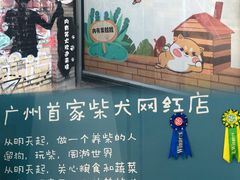 -柴犬高等学院·狗咖·柴犬售卖·宠物训练