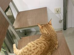 -玉华饮食店(茅台路店)