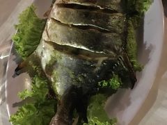 -越海渔村