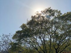-浮山香苑