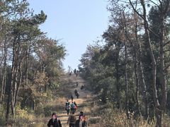 -青龙山国家森林公园