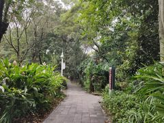 -深圳湾公园(南山区)