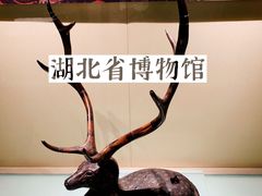 -湖北省博物馆
