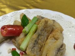 椒盐九肚鱼-新海利海鲜城·41年珠海老字号(夏湾店)