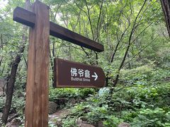 -大岭沟猕猴桃谷风景区