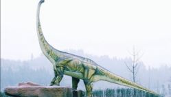 -恐龙探索乐园(磁器口店)