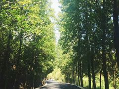 -千岛湖九龙溪漂流