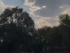 -洛阳市隋唐城遗址植物园