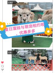 -萌宠亲子动物乐园(槐房万达店)