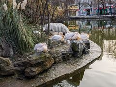 -成都动物园