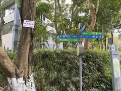 -火炉山森林公园
