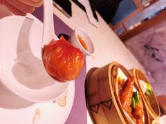 -点都德·毕德寮