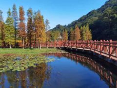 -广州市石门国家森林公园