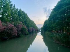 -上海大学(宝山校区)