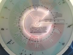 -苏州青少年科技馆