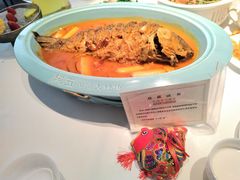 -阿五黄河大鲤鱼(英协路店)