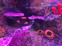 -沈阳海洋探索中心