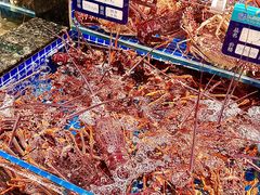 -东海怡品海鲜豆捞(星街坊店)