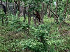 -宁波野生动物园