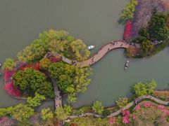 -圩墩遗址公园