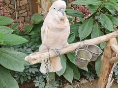 -南宫五洲植物乐园