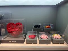 -ROSEONLY诺誓(国际广场购物中心店)