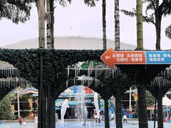 -海合安成都极地海洋公园
