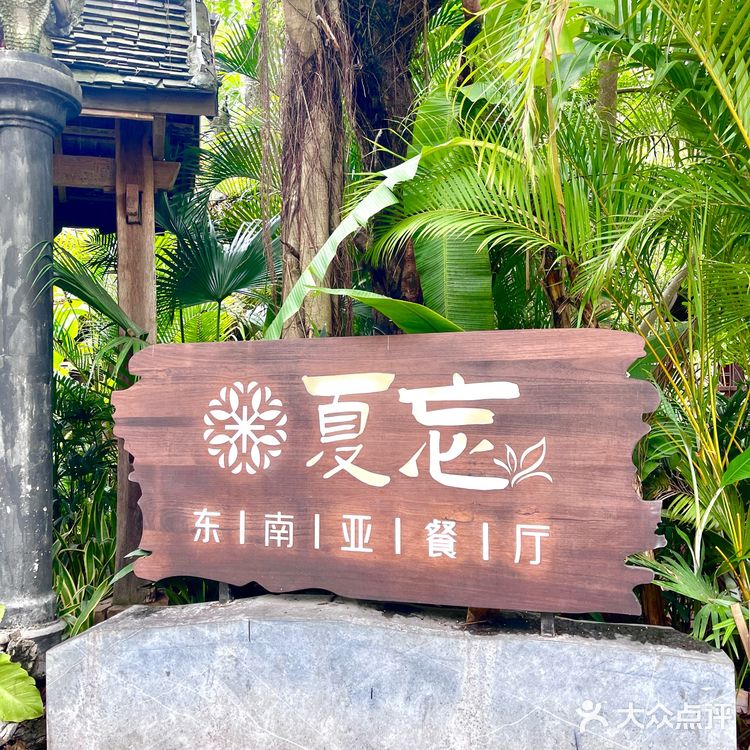 🌴l西双版纳🍃一秒穿越热带雨林
