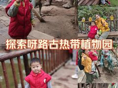 -呀路古热带植物园