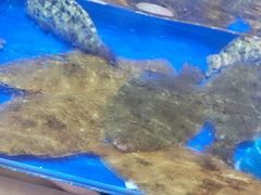-船梆煮•蒸汽海鲜·生腌干蒸(五四广场店)