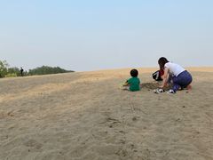 -东郊湿地公园
