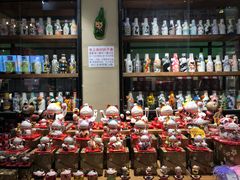 -猫咪博物馆(顶澳仔猫街店)