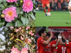 -上海体育场
