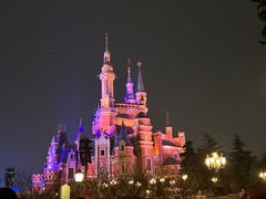 -上海迪士尼度假区