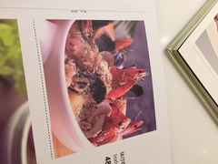 菜单-港丽餐厅(杭大店)