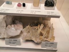 -天津自然博物馆