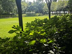 -西山人家·二十年老字号农家菜(旺山店)